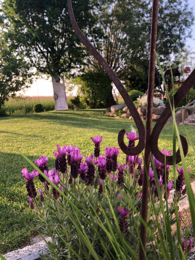 Ferienwohnung Thiergarten Mistelgau Exteriör bild