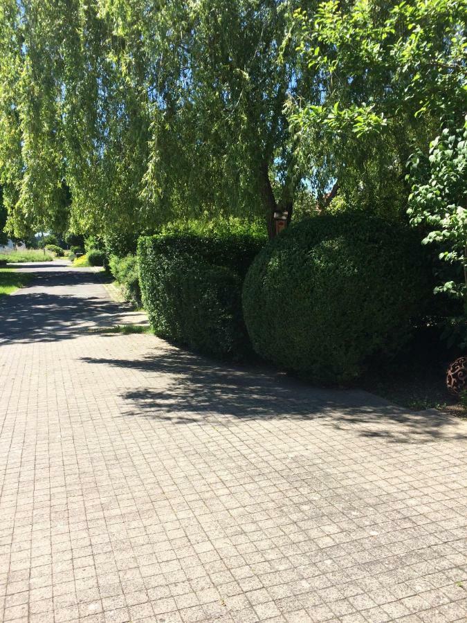 Ferienwohnung Thiergarten Mistelgau Exteriör bild